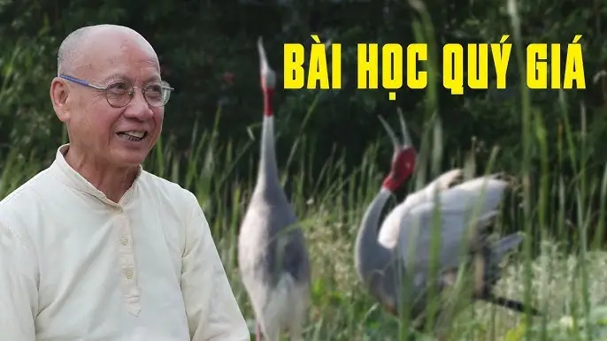 Giải Mã Giấc Mơ Thấy Phượng Hoàng: An Tâm Sống Thiện 6 Giúp chim linh thiêng: Tình người.