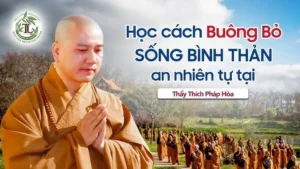 Thiền định: Chấp nhận, buông bỏ, bình an.