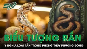Rắn: Biểu tượng văn hóa và tâm linh