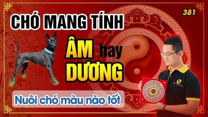 Ý nghĩa nuôi chó phong thủy: Hóa giải điềm xấu, đón tài lộc 8 Âm Dương và chó chạy, năng lượng sống.