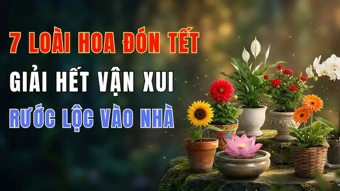 Nằm mơ thấy mình đám cưới: Giải mã điềm báo cát hay hung? 7 Thiện lành hóa giải vận xui, đón may mắn