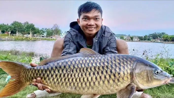 Giải Mã Giấc Mơ Đi Câu Cá Đánh Đề Con Gì: Điềm Báo & Hóa Giải 4 Người câu cá vui vẻ với chiến lợi phẩm