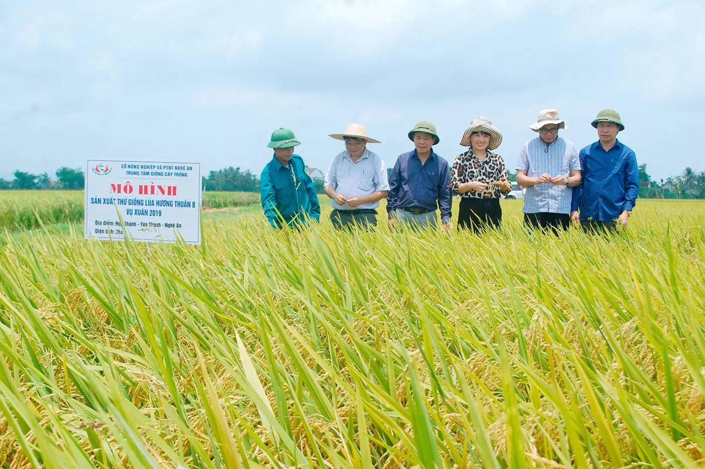 Nông dân cần mẫn gieo hạt trên cánh đồng.