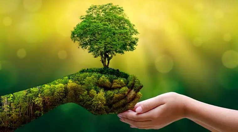 Nằm Mơ Cháy Nhà: Giải Mã Điềm Báo & Hướng Hóa Giải Từ Chuyên Gia 7 Cây cổ thụ vững chãi xanh: Bình an, phát triển bền vững.