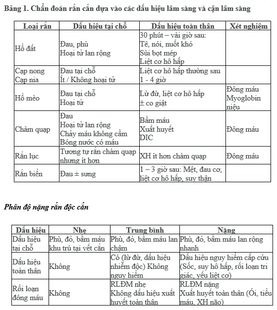 Bảng tổng hợp ý nghĩa các loại rắn cắn