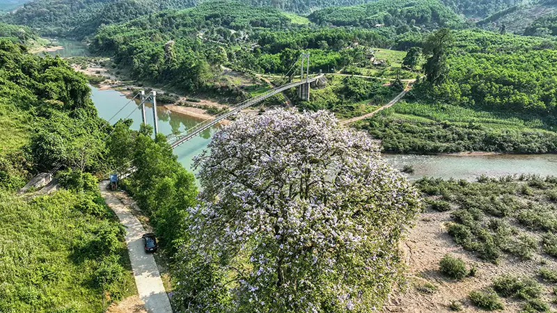 Mơ Thấy Ăn Phân: Giải Mã Điềm Báo & Hướng Hóa Giải Tâm An 7 Cây cổ thụ, dòng sông: Bền vững và thanh tịnh.