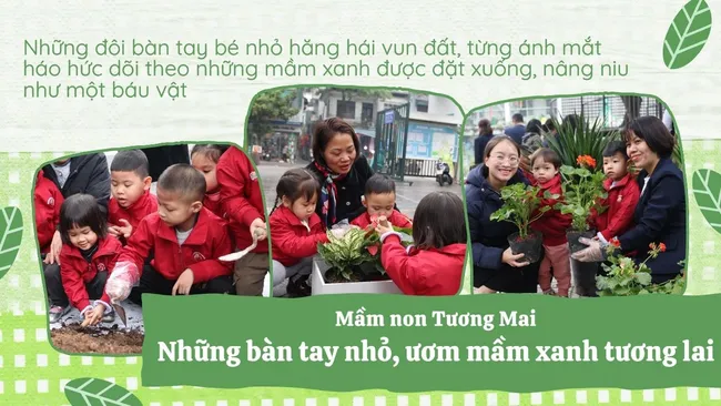 Bàn tay gieo hạt: Thiện lành ươm mầm tương lai.