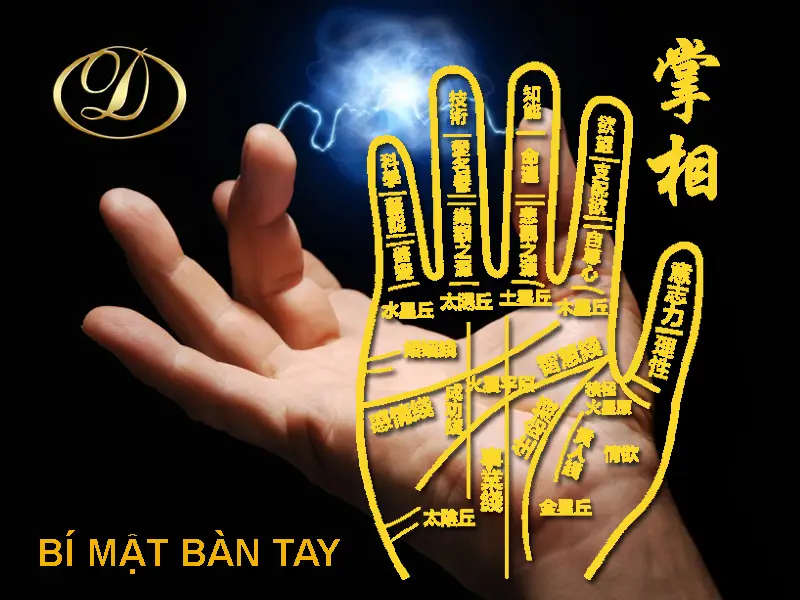 Giải Mã Nằm Mơ Thấy Chó Chết: Điềm Báo & Hướng Hóa Giải An Tâm 7 Bàn tay gieo quẻ, biểu tượng phong thủy