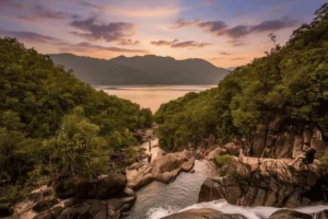 Hổ hùng dũng giữa rừng núi yên bình