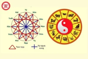 Biểu đồ chu kỳ Tam Tai theo năm