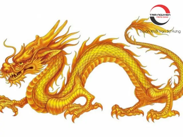 Rồng Hợp Tuổi Thìn: Giải Mã Sức Mạnh Tối Thượng và Cách Khai Thác Vận Khí Cát Tường Trong Phong Thủy Chính Phái 6 Rồng Biểu Tượng Hài Hoà, Đặt Đúng Chỗ