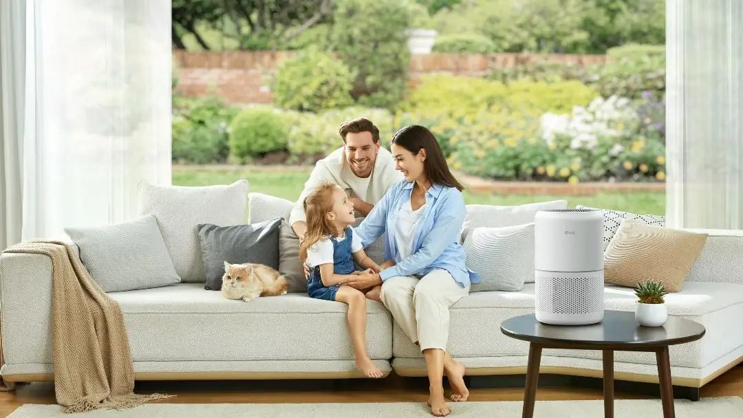 Kiêng Kỵ Cá Chết Không Chôn: Giải Pháp Phong Thủy Chánh Phái Cho Gia Trạch An Bình 6 Chăm sóc không gian sống và thư giãn