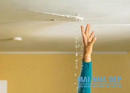 Giải Mã Giấc Mơ Thấy Mưa: Điềm Lành, Điềm Dữ & Cách Hóa Giải Hiệu Nghiệm 7 Mái nhà dột nước, người trú mưa bão.