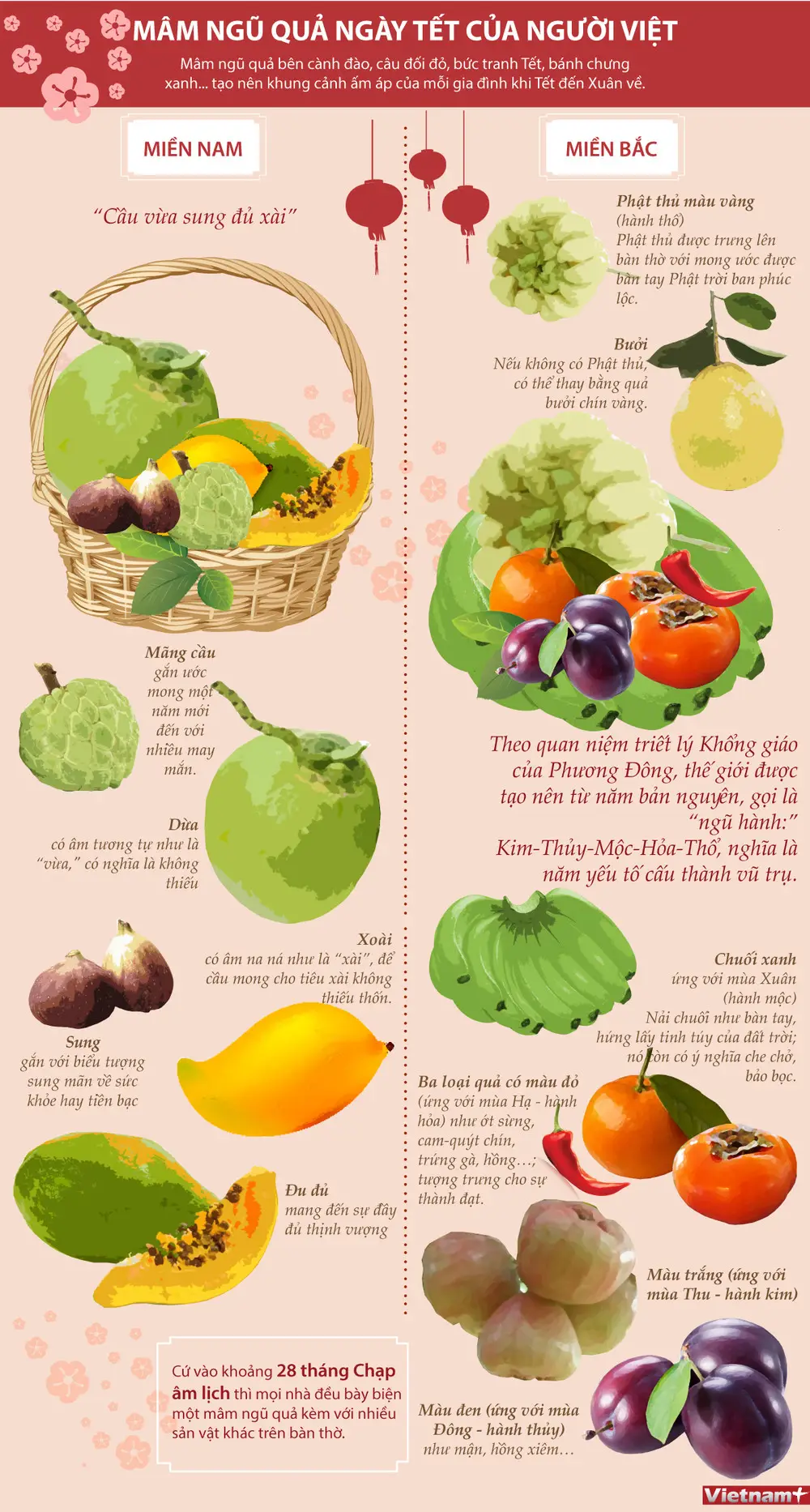 Mâm Ngũ Quả Miền Nam: Bố Cục Chuẩn, Ý Nghĩa Sâu Sắc Cho Gia Đình 4 Sơ đồ Mâm Ngũ Quả Miền Nam Chuẩn