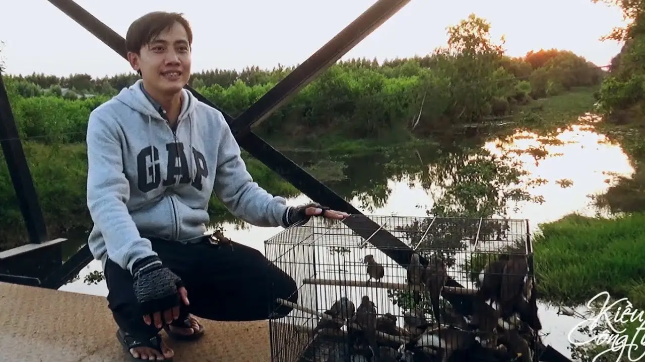 Giải Mã Giấc Mơ Thấy Cá Bơi Trong Nước: Điềm Báo & Hóa Giải 6 Thả cá phóng sinh, hành thiện tích đức