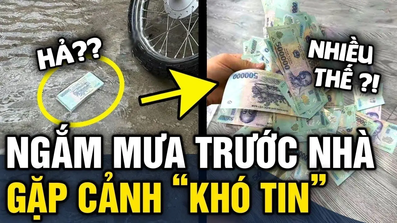 Giải Mã Giấc Mơ Thấy Tiền 500 Nghìn Rơi Như Mưa: Điềm Lành Hay Cảnh Báo? 4 Cơn mưa tiền 500K bí ẩn
