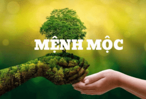 Mầm xanh tươi vươn, hành Mộc, số 4.