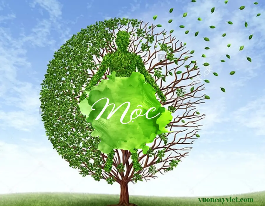 Cây xanh vươn mình, tượng trưng Hành Mộc.