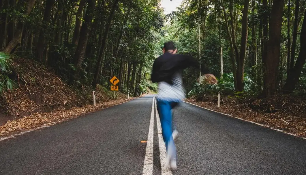 Người chạy trốn trâu đuổi trong mơ