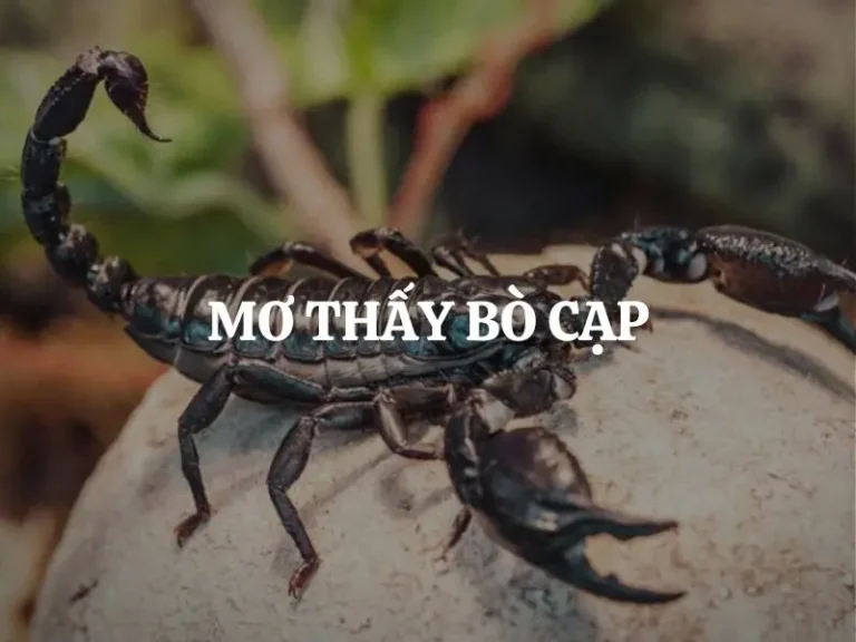 Bọ Cạp Bí Ẩn: Điềm Báo Giấc Mơ