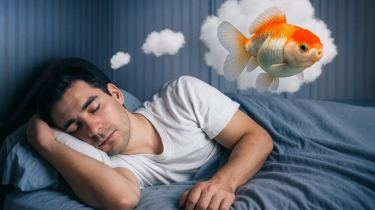 Giải Mã Giấc Mơ Thấy Bắt Cá: Điềm Báo May Mắn Hay Lời Cảnh Tỉnh? 6 Người suy tư, giấc mơ cá chết đầy ám ảnh.