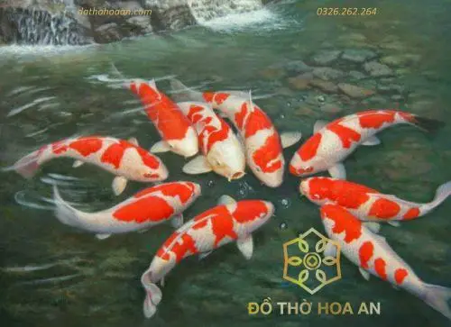 Giải Mã Giấc Mơ Nằm Thấy Cá Chép Đỏ: Điềm Lành Hay Cảnh Báo? 3 Mơ cá chép đỏ: Điềm lành và điềm dữ