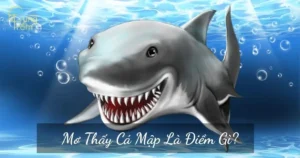 Phong thủy giải mã giấc mơ cá mập.