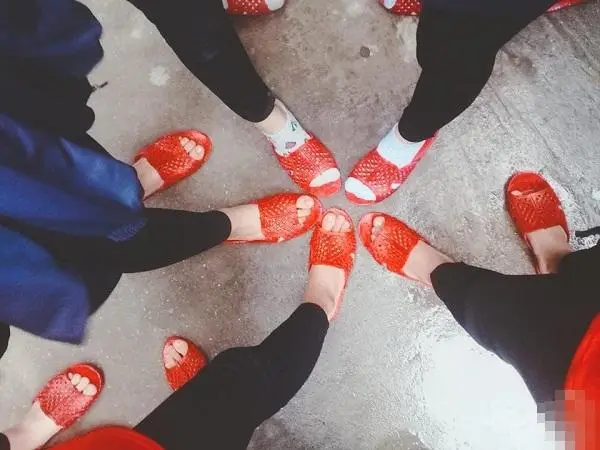 Ý nghĩa giấc mơ thấy dép tổ ong.