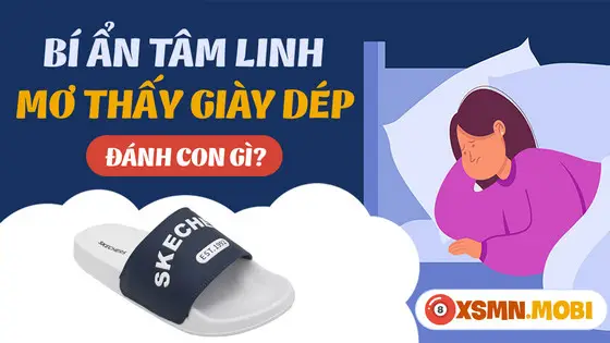 Nằm Mơ Thấy Đi Dép Lê: Giải Mã Điềm Báo Tài Lộc Hay Gian Truân? 5 Thống kê giấc mơ dép lê khoa học