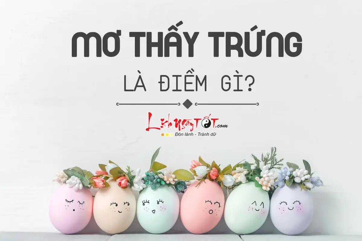 Nằm Mơ Thấy Trứng: Giải Mã Điềm Báo & Lời Khuyên An Tâm 6 Điềm Báo Từ Trứng: Tích Cực & Tiêu Cực