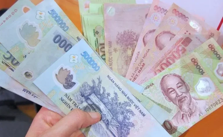 Giấc mơ tiền polymer tươi sáng