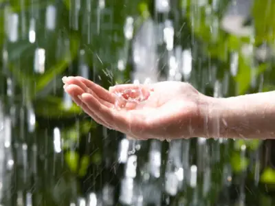 Nằm Mơ Thấy Mưa: Giải Mã Sâu Sắc Điềm Báo & Hướng Hóa Giải 7 An yên bàn tay vuốt ve giọt mưa.