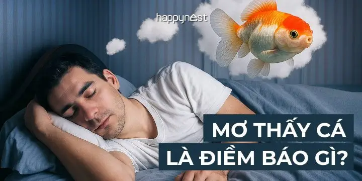 Nằm Mơ Thấy Bị Cá Cắn: Giải Mã Ý Nghĩa Và Hướng Hóa Giải An Tâm 4 Suy tư giấc mơ: Cá, bánh răng thay đổi.