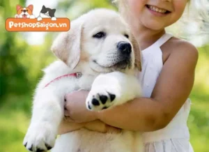 Giấc mơ cún con: Người hóa chó nô đùa