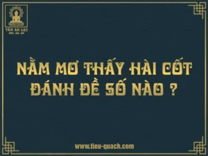 Giấc mơ bí ẩn: Hài cốt và ánh sáng dẫn lối