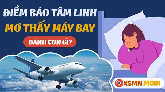 Giải Mã Giấc Mơ Thấy Phi Cơ Riêng: Điềm Báo Vận May Hay Thử Thách? 7 Giải Mã Giấc Mơ Phi Cơ Riêng