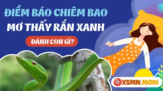 Giấc mơ rắn bò vào người: Lo lắng, tò mò.