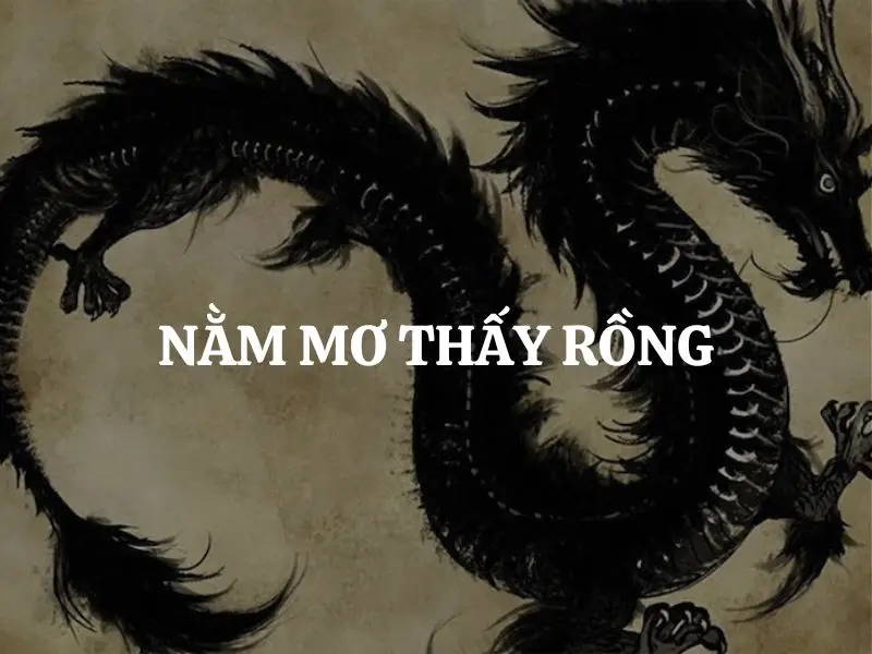 Giải Mã Giấc Mơ Thấy Rồng Đen Bay Trên Trời: Điềm Báo & Hóa Giải 5 Bảng số mơ rồng đen