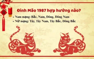 Phụ nữ Đinh Mão tuyển chọn vàng 18K, đá quý ngũ hành.