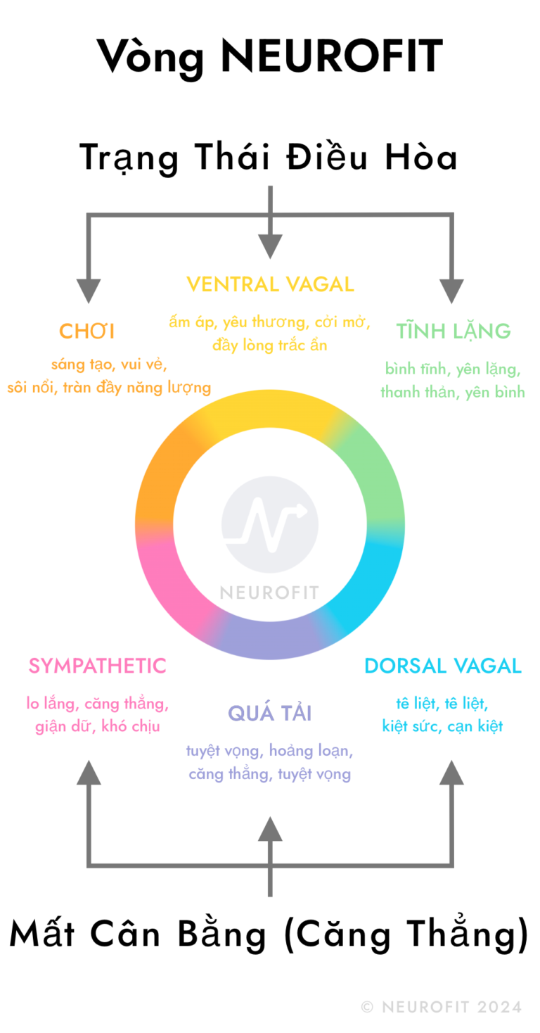 Suy tư trước vòng xoáy cảm xúc tiêu cực