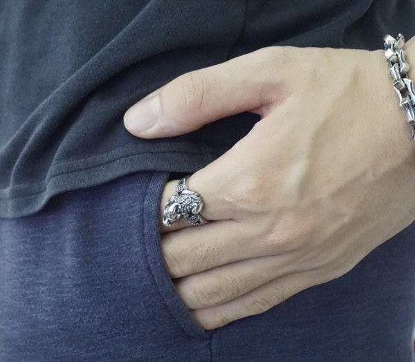 Tỳ Hưu Bạc 925: Vật Phẩm Chiêu Tài Hóa Sát Hay Chỉ Là Trang Sức Đơn Thuần? 7 Người đeo nhẫn, vòng tay Tỳ Hưu bạc 925.