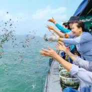 Người mỉm cười, giỏ ốc đầy thành quả.