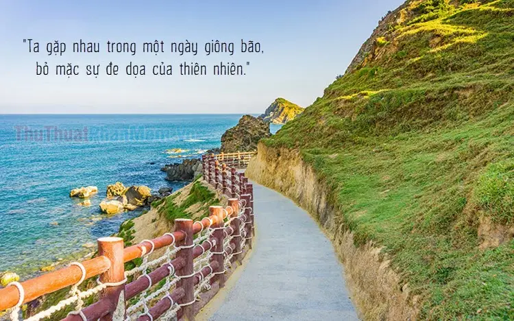 Nằm Mơ Thấy Cá Ngựa: Giải Mã Điềm Báo & Hướng Hóa Giải An Tâm 6 Thiền bờ biển: Tìm bình an, hòa mình thiên nhiên.