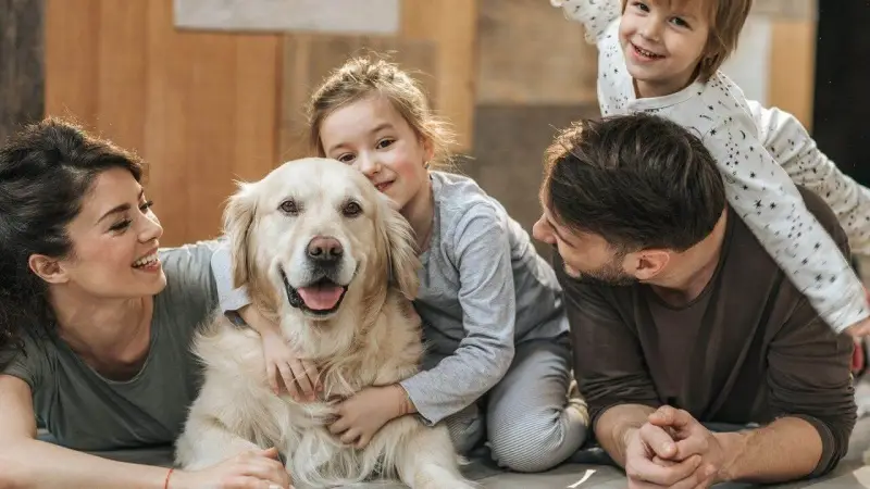 Ý nghĩa nuôi chó phong thủy: Hóa giải điềm xấu, đón tài lộc 11 Gia đình hạnh phúc chơi đùa cùng chó.