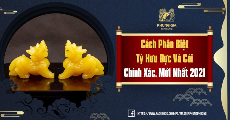 Phân biệt Tỳ Hưu Đực và Tỳ Hưu Cái