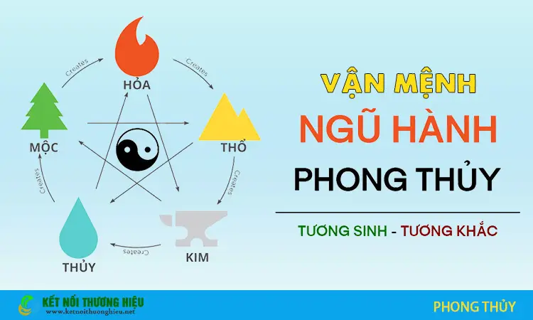 Lựa Chọn Vòng Phong Thủy Tuổi Tân Hợi 1971 Đem Lại Bình An, Tài Lộc 4 Nghiên cứu phong thủy bản mệnh chuyên sâu