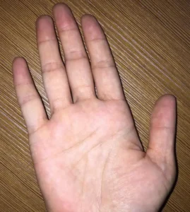 Bàn tay nhận trái cây tươi, ánh sáng ấm.