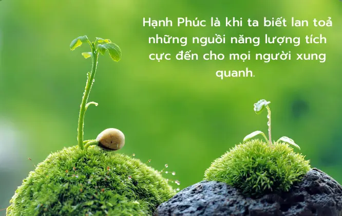 Sống thiện lương, lan tỏa năng lượng tích cực