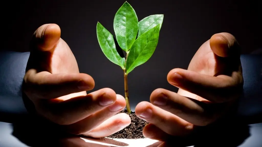 Khai Mở Tài Lộc: Ý Nghĩa Số 8 Phong Thủy Và Ứng Dụng Chuẩn Mực 7 Bàn tay nâng niu mầm cây nỗ lực thành công.