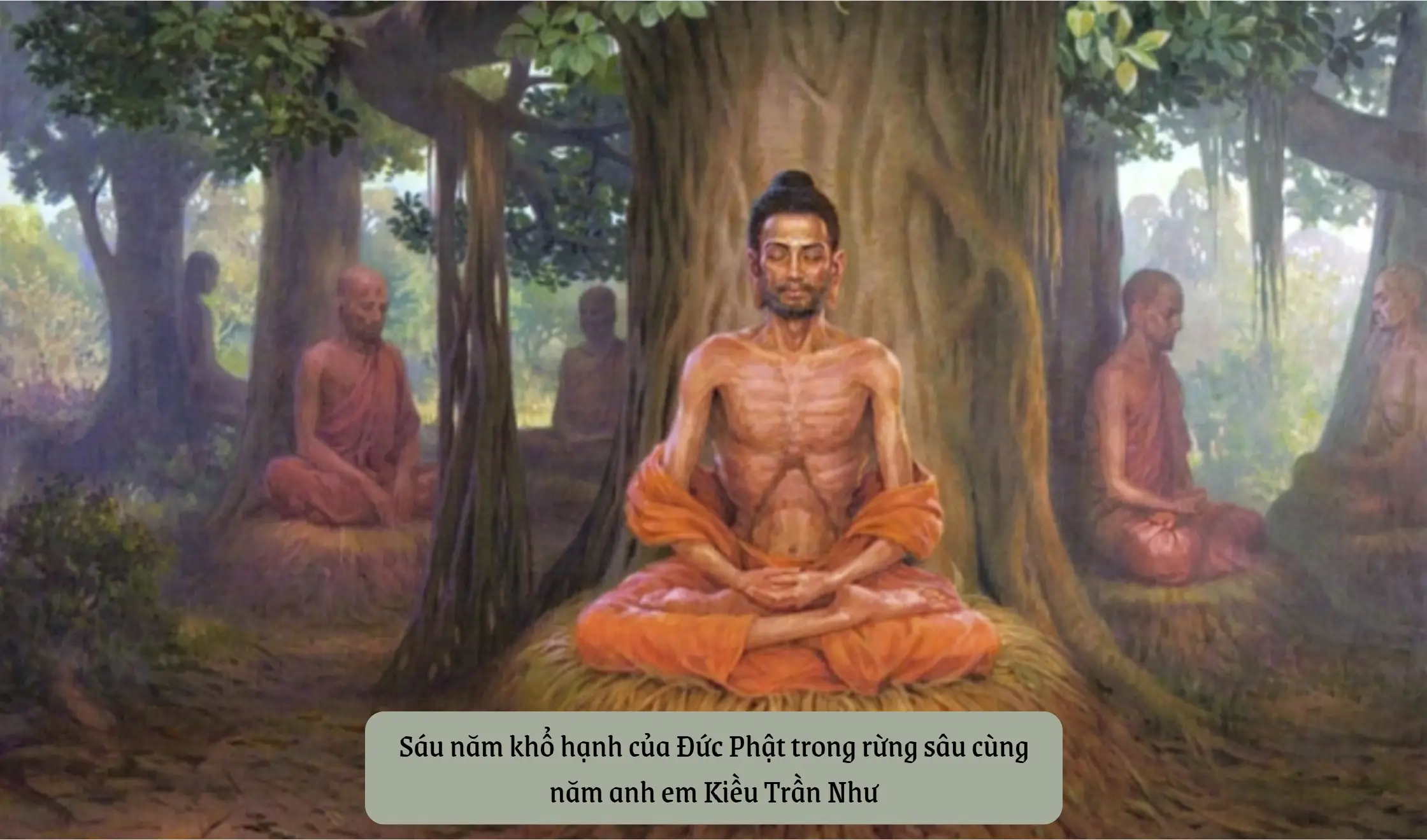 Mơ Thấy Chim: Giải Mã Điềm Báo và Con Đường An Tâm Sống Thiện 7 Thiền định dưới gốc cây: Bình an tâm linh.